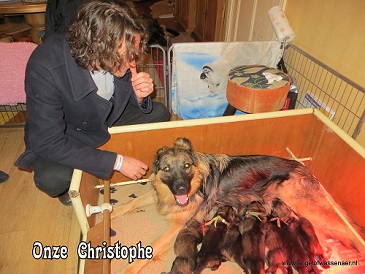 Christophe bewondert de pups